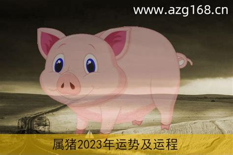 2024属猪运势|属猪2024年运势及运程详解 2024年属猪人的全年每月运势